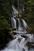 Panther Creek Falls Longer View