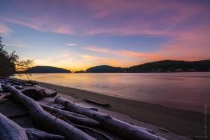 Deception Pass Frozen Beach Logs