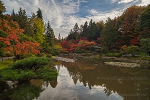 A Fall Landscape