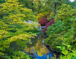 Kubota Gardens into the Lush