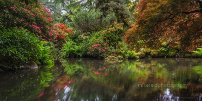 Seattle Kubota Gardens Symmetry Pano