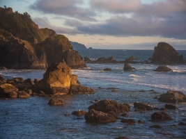 Cannon Beach Photography Sea Stacks and Birds