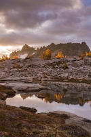 Golden Larches Sunrise Enchantments