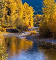 Around the Bend Autumns Colors