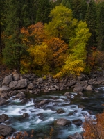 Fall Colors Swiftly Moving River