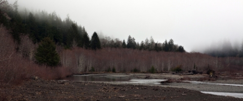 Hoh River