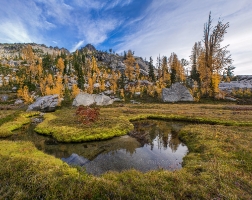 A Winding Autumns Path