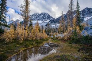 Autumn Arrives at the Stuart Range
