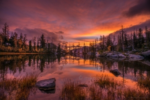 Horseshoe Lake Sunrise Reflection