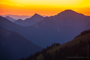 Hurricane Ridge Layers of Serenity