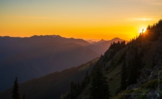 Hurricane Ridge Sunrays