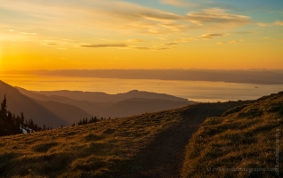 Hurricane Ridge Trail to the Sunset