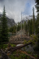 Colchuck Logjam