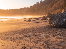 Washington Coast Third Beach Rocks