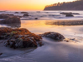 Washington Coast Third Beach Sunset Tidal Life