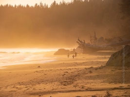 Washington Coast Third Beach Sunset Glow