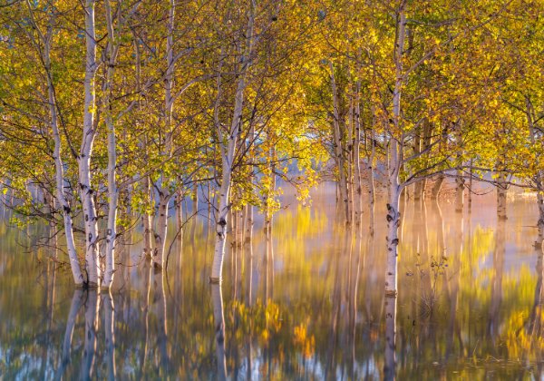 Canadian Rockies Fall Colors Workshop September 15-18 Contact me for more information