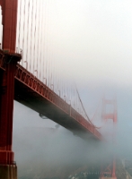 Golden Gate Fog