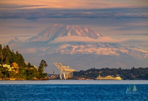 Ferry On Elliott Bay and Mount Rainier GF500mm.jpg Soft golden light bathes Mount Rainier’s glaciers as the evening sun sets over Puget Sound. A Seattle ferry glides past the harbor cranes in the foreground,...
