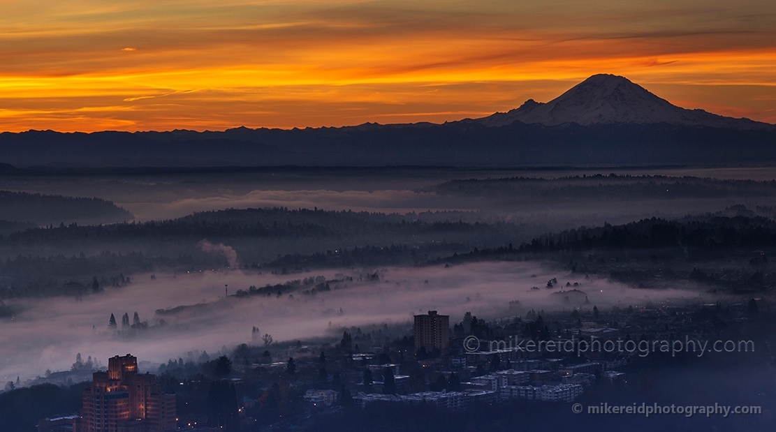 Fog Below Rainier