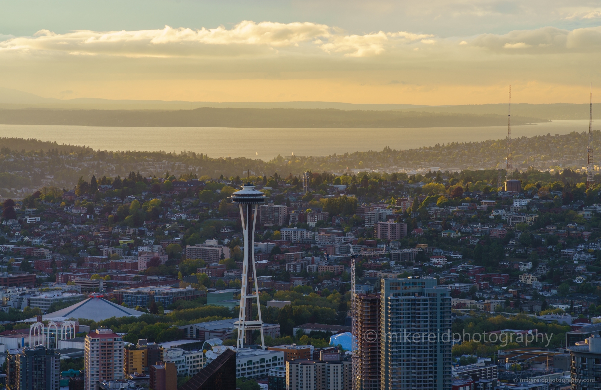 Seattle Photography golden City
