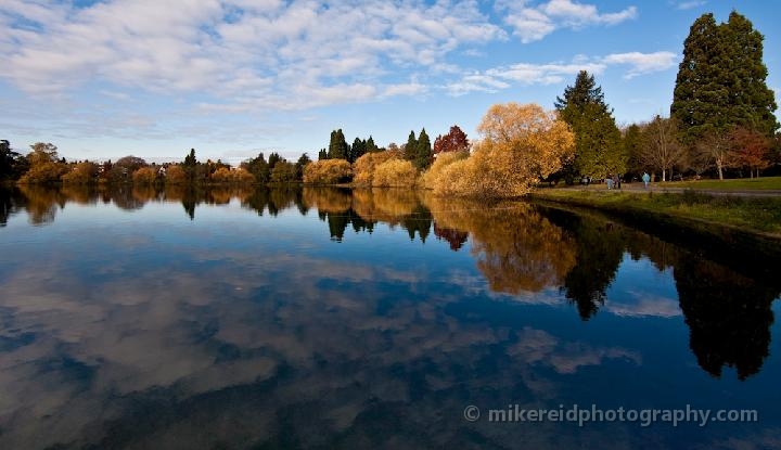 Greenlake Fall Colors Reflection
