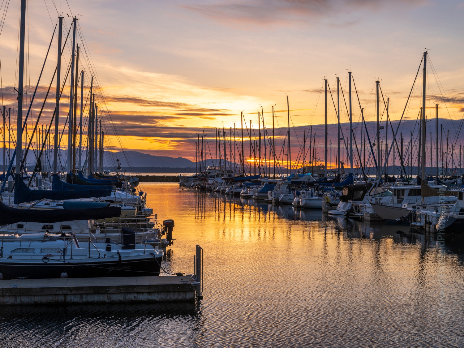 Seattle Photography Shilshole Marina Sunset Moorage