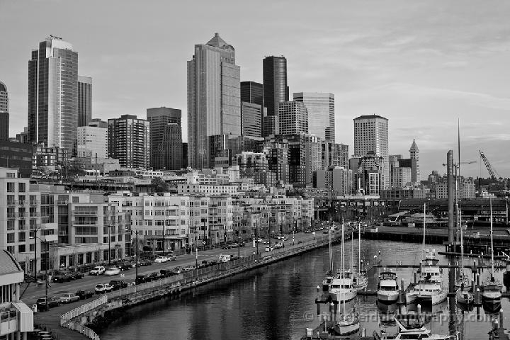 Black White Seattle Skyline