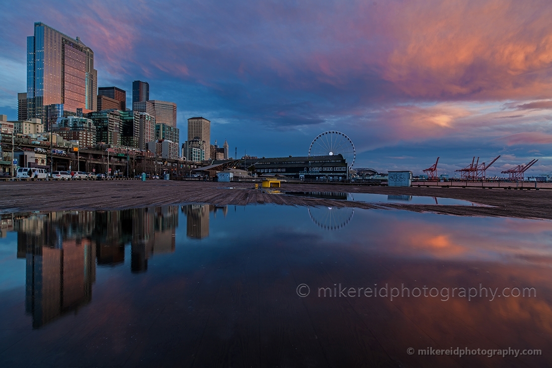 Seattle Urban Serenity