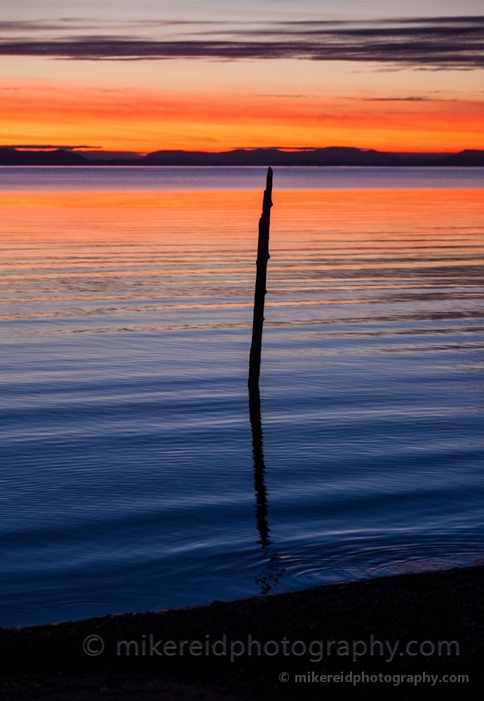 Birch Bay Lone Piling