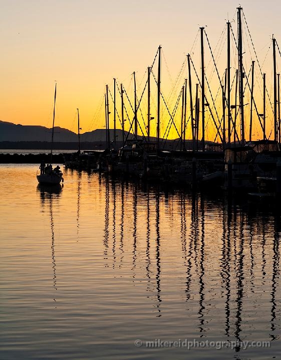 Coming In Shilshole Sunset