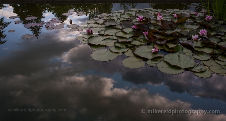 Pond Skies Reflection