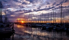 Brilliant Shilshole MArina Reflection.jpg