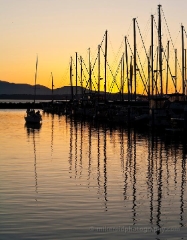 Coming In Shilshole Sunset.jpg