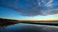 Discovery Park Tidepools.jpg