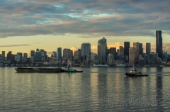 Elliott Bay Working Harbor Seattle Skyline.jpg