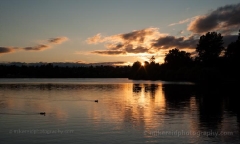 Fiery Greenlake Sunset.jpg