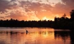Greenlake Sunset Kayaker.jpg