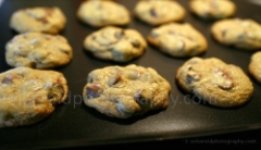 My Amazing Cookies To order a print please email me at  Mike Reid Photography : cookies