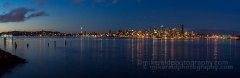 Seattle Skyline Blues.jpg