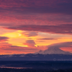 Mount Rainier Burning skies Sunrise Sky View Observatory Seattle To order a print please email me at  Mike Reid Photography : seattle, sky view observatory, svo, zeiss lenses, columbia center, urban, sunrise, fog, sunset, puget sound, elliott bay, space needle, northwest, washington, rainier, baker