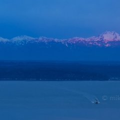 Olympic Mountains Sunrise To order a print please email me at  Mike Reid Photography : seattle, sky view observatory, svo, zeiss lenses, columbia center, urban, sunrise, fog, sunset, puget sound, elliott bay, space needle, northwest, washington, rainier, baker, ferry