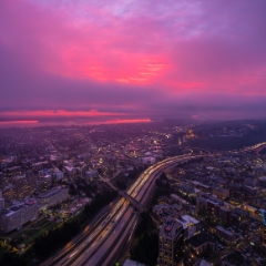 Seattle Photography Fiery Magenta Sunrise To order a print please email me at  Mike Reid Photography : seattle, sky view observatory, svo, zeiss lenses, columbia center, urban, sunrise, fog, sunset, puget sound, elliott bay, space needle, northwest, washington, rainier