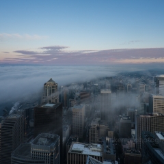 Seattle Photography Morning Fog Rolls To order a print please email me at  Mike Reid Photography : seattle, sky view observatory, svo, zeiss lenses, columbia center, urban, sunrise, fog, sunset, puget sound, elliott bay, space needle, northwest, washington, rainier, baker, ferry, seattle storm
