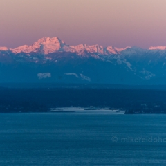 Seattle Photography Olympic Mountains Sunrise Light To order a print please email me at  Mike Reid Photography : seattle, sky view observatory, svo, zeiss lenses, columbia center, urban, sunrise, fog, sunset, puget sound, elliott bay, space needle, northwest, washington, rainier, baker, ferry, seattle storm