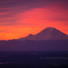 Seattle Photography Rainier Fiery Sunrise Canon 200mm To order a print please email me at  Mike Reid Photography : seattle, sky view observatory, svo, zeiss lenses, columbia center, urban, sunrise, fog, sunset, puget sound, elliott bay, space needle, northwest, washington, rainier, baker, ferry, seattle storm