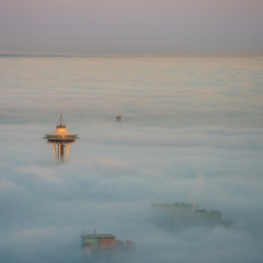 Seattle Photography Space Needle Above the Clouds To order a print please email me at  Mike Reid Photography : seattle, sky view observatory, svo, zeiss lenses, columbia center, urban, sunrise, fog, sunset, puget sound, elliott bay, space needle, northwest, washington, rainier