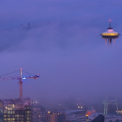 Seattle Photography Space Needle on the Clouds at Dawn To order a print please email me at  Mike Reid Photography : seattle, sky view observatory, svo, zeiss lenses, columbia center, urban, sunrise, fog, sunset, puget sound, elliott bay, space needle, northwest, washington, rainier