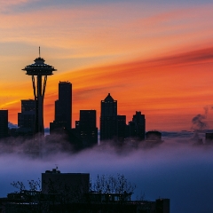 Seattle Sunrise Fogscape from Kerry Park.jpg  Photography from Seattles Kerry Park is iconic.  Everyone wants to go there when they visit to take That Shot.  I love being there at sunrise or sunset to see how the light is highlighting the city and Mount Rainier.  Contact me for custom Seattle photography tours. To order a print please email me at  Mike Reid Photography : sunset, sunrise, seattle, northwest photography, dramatic, beautiful, washington, washington state photography, northwest images, seattle skyline, city of seattle, puget sound, kerry park