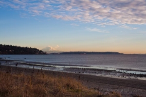 Rainier Afar from Discovery Park Beach